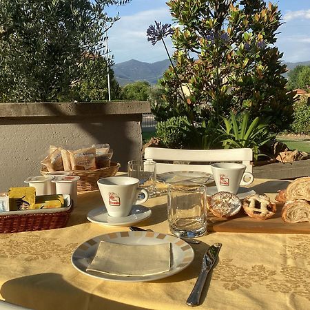 Villa Orsini - A Retreat in Pisa - Food&Relax Exterior foto