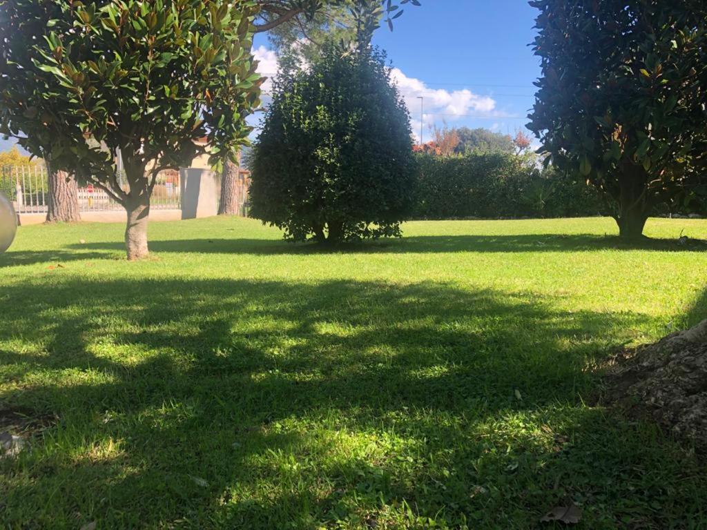 Villa Orsini - A Retreat in Pisa - Food&Relax Exterior foto